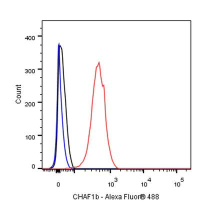 CHAF1b Recombinant Rabbit mAb (S-R316)