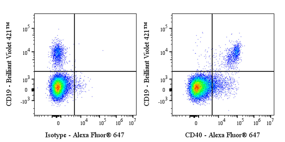 Alexa Fluor® 647 Mouse Anti-Human CD40 Antibody (G28.5)