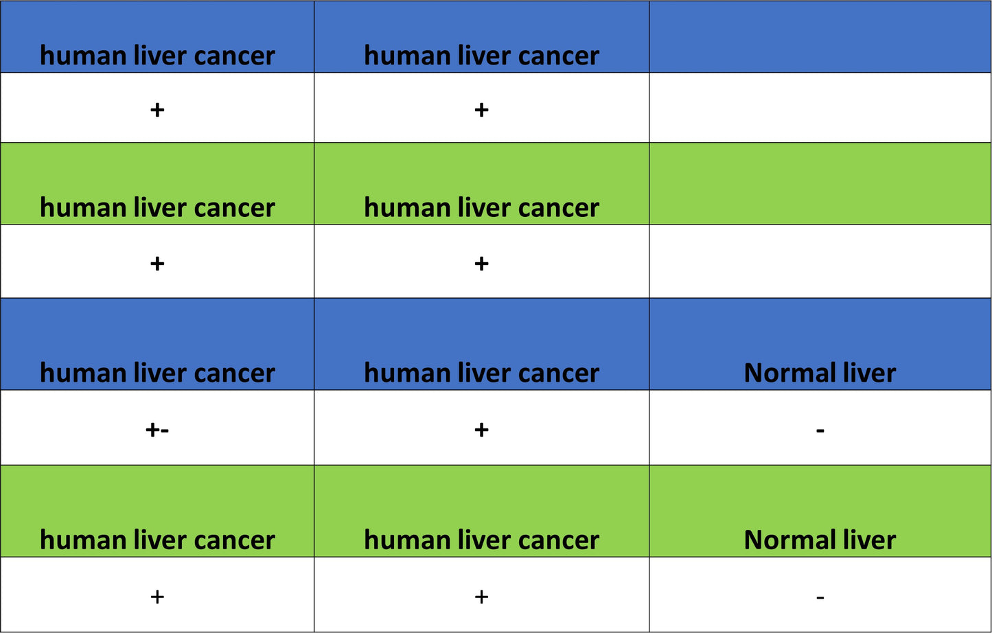 Glypican-3 Recombinant Rabbit mAb (SDT-4064-69)