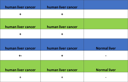 Glypican-3 Recombinant Rabbit mAb (SDT-4064-69)