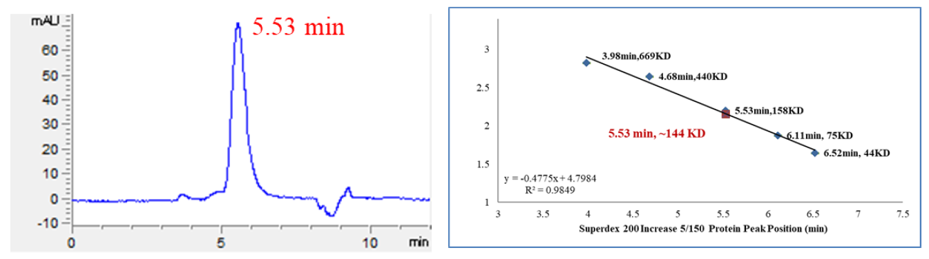CDK3 Protein