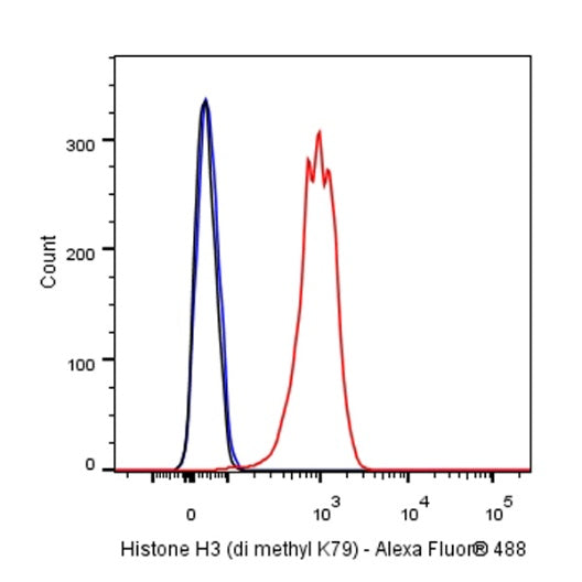 Histone H3 (di methyl K79) Rabbit polyclonal antibody