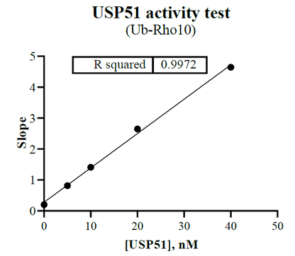 USP51 Protein