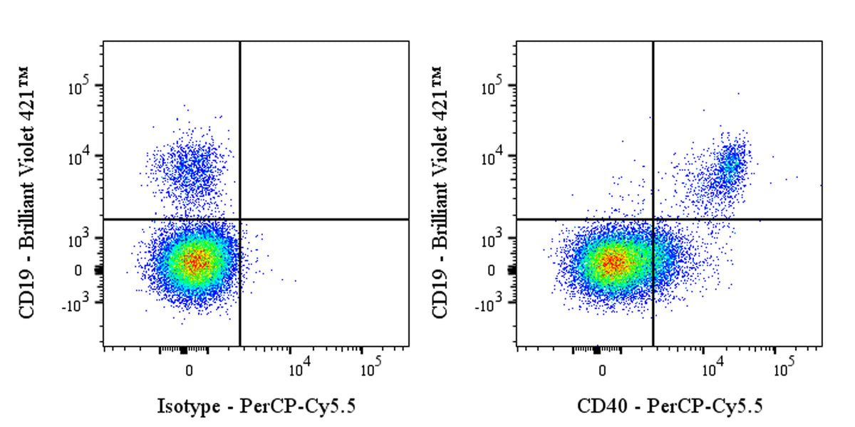 PerCP-Cy5.5 Rabbit Anti-Human CD40 Antibody (S-145-45)