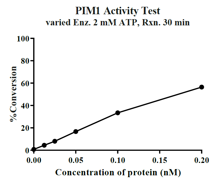 PIM1 Protein, Human