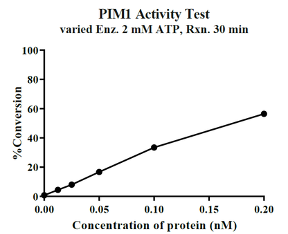 PIM1 Protein, Human