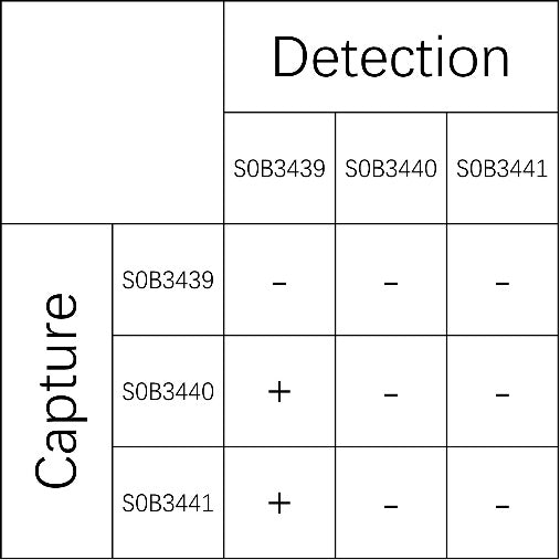 Mouse IL-2 Recombinant mAb (SDT-2117-204)