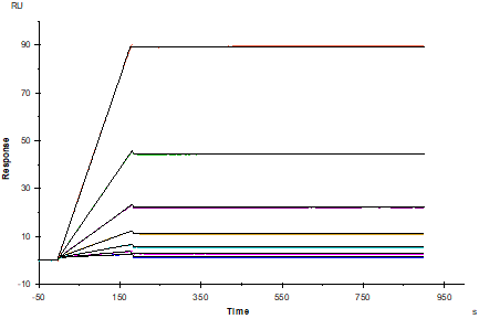 ACVR2A mFc Chimera Protein, Mouse