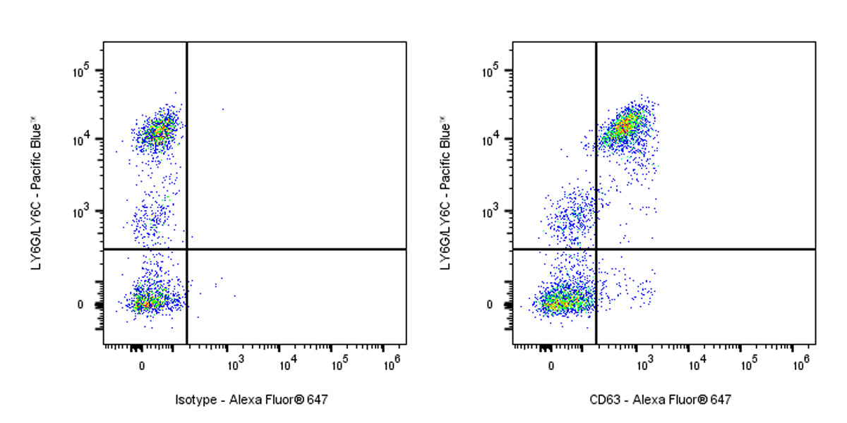 Rat Anti-Mouse CD63 Antibody (S-R667)