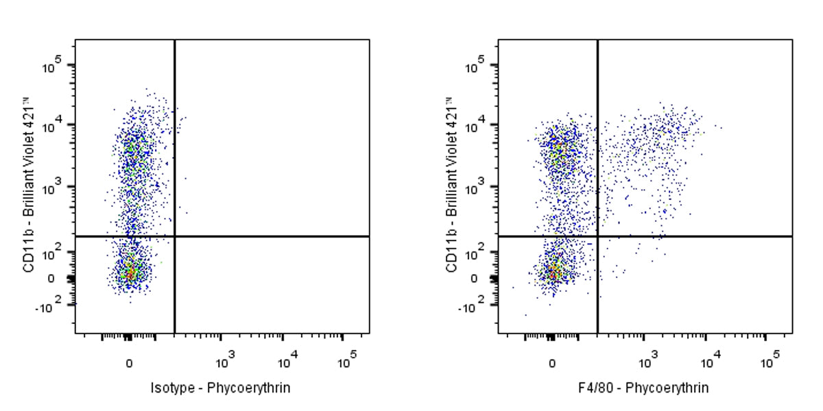 PE Rat Anti-Mouse F4/80 Antibody (S-R537)