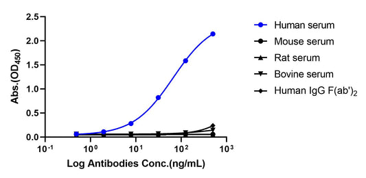 Goat Anti-Human IgG, Fcγ Fragment Specific (min X Bov, Ms, Rat Sr Prot)