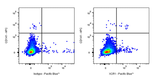 Pacific Blue Rat Anti-Human XCR1 Antibody (S-3294)