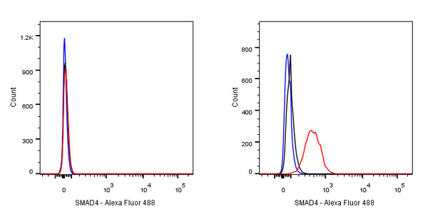 SMAD4 Recombinant Rabbit mAb (SDT-168-62)