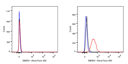 SMAD4 Recombinant Rabbit mAb (SDT-168-62)