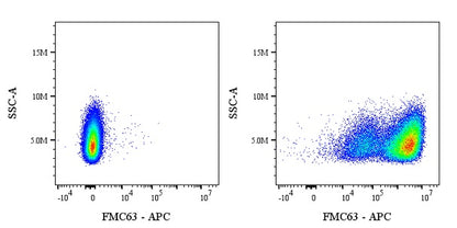 FMC63 Recombinant Rabbit mAb (APC Conjugate) (S-2163-77)