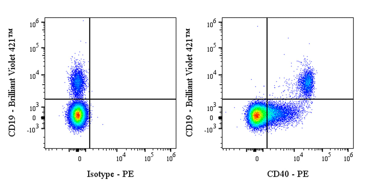 PE Human Anti-Human CD40 Antibody (ABBV-323)