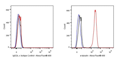 Mouse mAb IgG2b, κ Isotype Control (S-844-22)