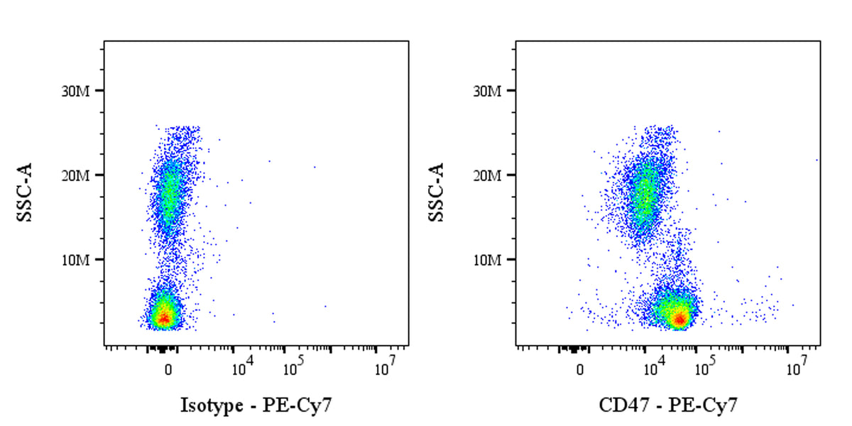 PE-Cy7 Mouse Anti-Human CD47 Antibody (B6H12)