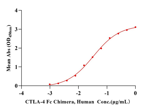 B7-2/CD86 His Tag Protein, Human