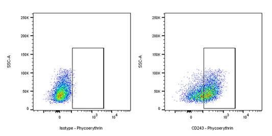 Mouse Anti-Human CD243 Antibody (S-2907)