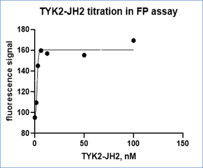 TYK2(JH2) Protein