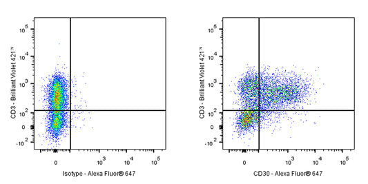 Alexa Fluor® 647 Armenian hamster Anti-Mouse CD30 Antibody (mCD30.1)