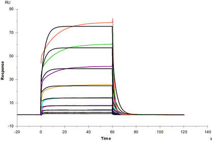 PD-1 Fc Chimera Protein, Human