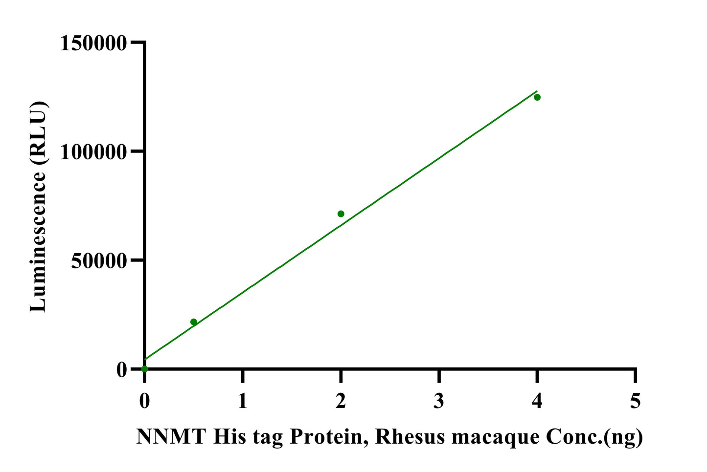 NNMT His Tag Protein, Rhesus macaque