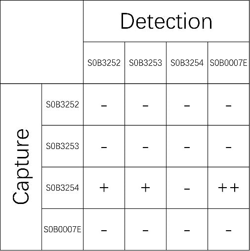 IL-6 Recombinant Human mAb (SDT-029-29)