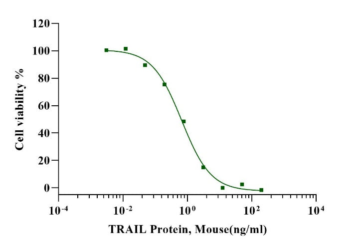 TRAIL Protein, Mouse