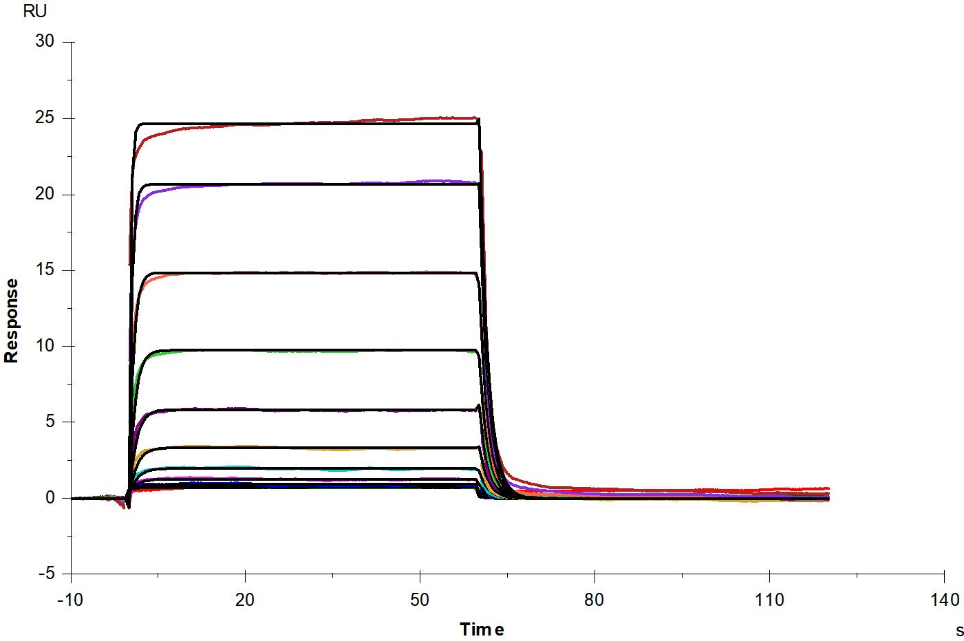 CD40 His Tag Protein, Mouse