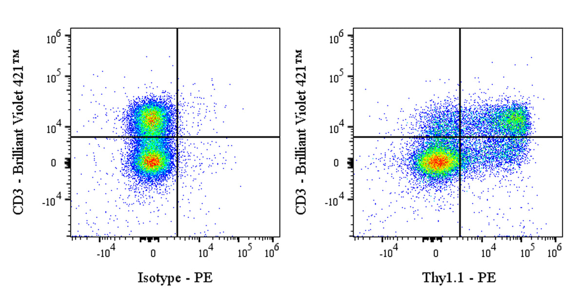 PE Mouse Anti-Mouse Thy1.1 (CD90.1) Antibody (S-3781)