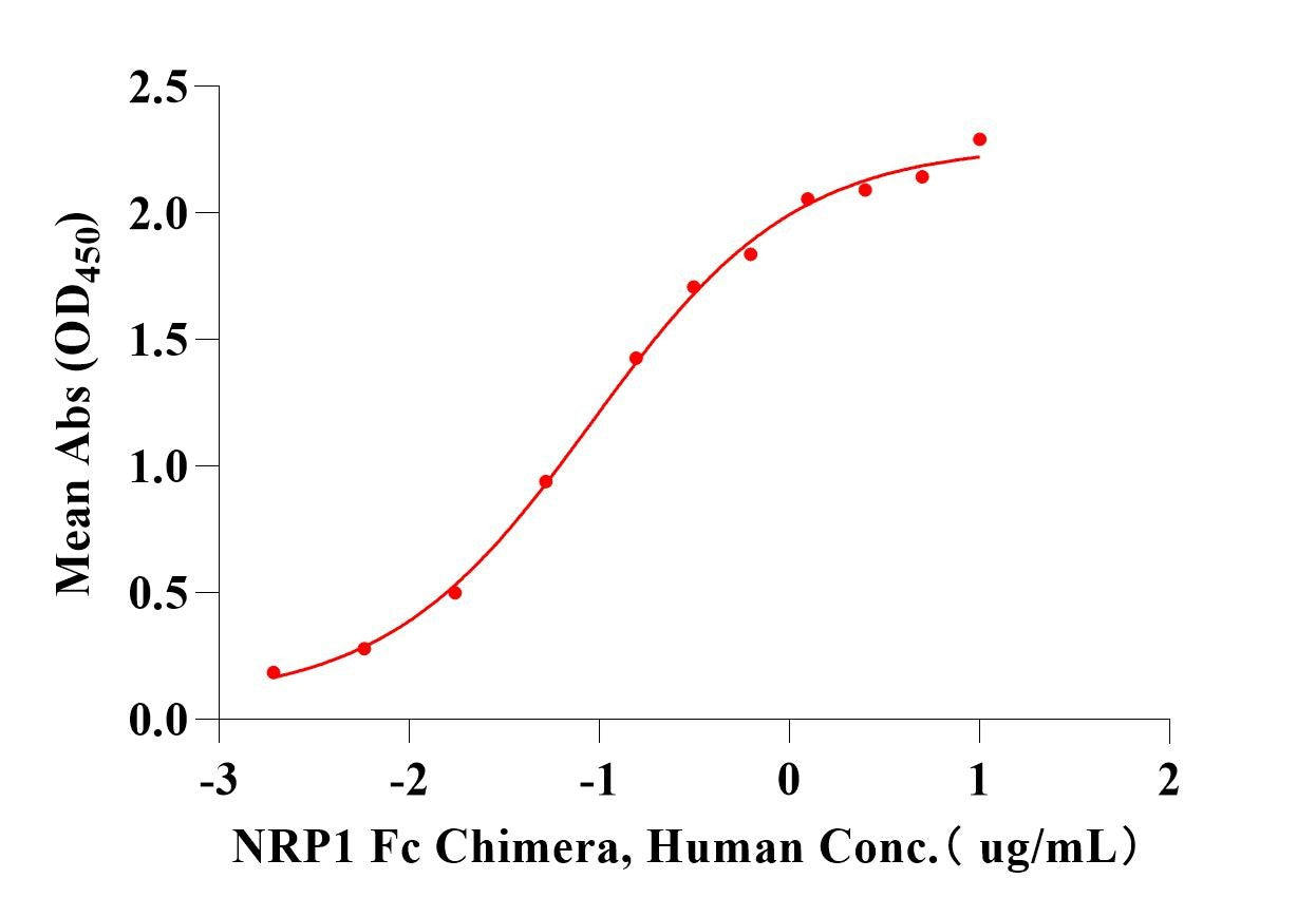 VEGF165 Protein, Human