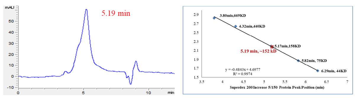 CDK18/Cyclin Y Protein