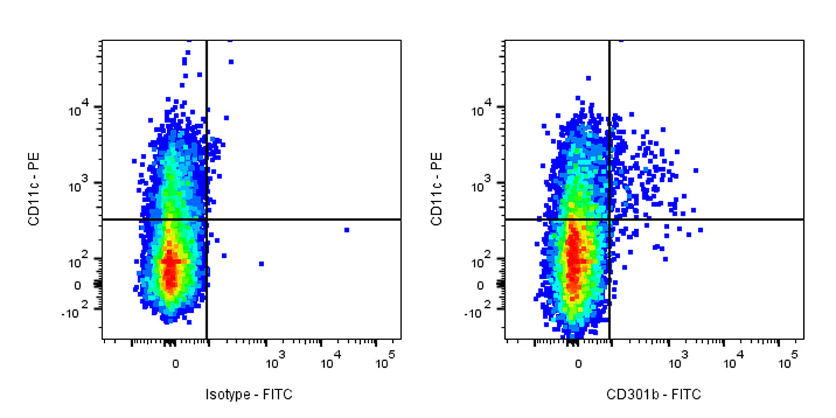 FITC Rat Anti-Mouse CD301b Antibody (S-R737)