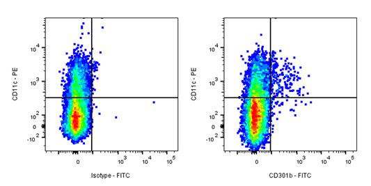 FITC Rat Anti-Mouse CD301b Antibody (S-R737)