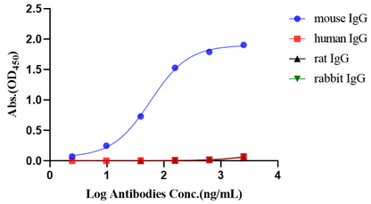Rabbit Anti-Mouse IgG (heavy chain specific) (HRP Conjugate)