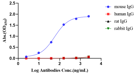 Rabbit Anti-Mouse IgG (heavy chain specific) (HRP Conjugate)