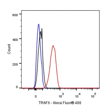 TRAF6 Recombinant Rabbit mAb (S-1087-44)