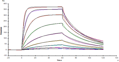 ICOS/CD278(C136S, C137S) His Tag Protein, Human