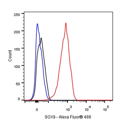 SOX9 Recombinant Rabbit mAb (SDT-019-29)