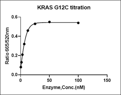 KRAS [G12C] His Tag Protein, Human(Load GDP/GMPPNP)