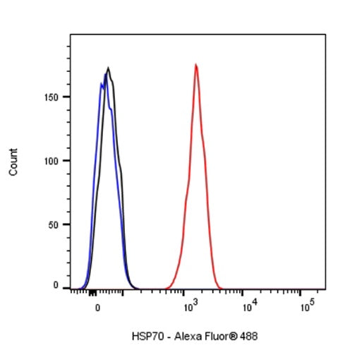 HSP70 Recombinant Rabbit mAb (S-992-39)