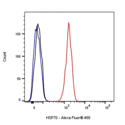 HSP70 Recombinant Rabbit mAb (S-992-39)