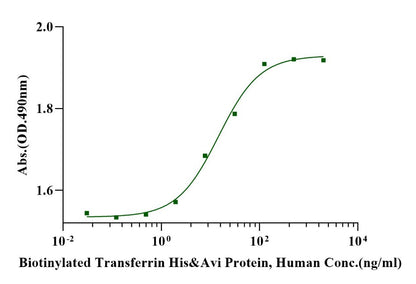 Biotinylated Transferrin His&Avi Tag Protein, Human