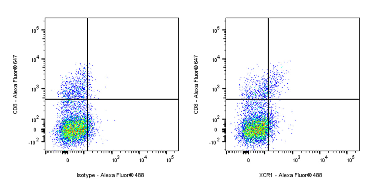 Mouse Anti-Mouse XCR1 Antibody (S-R601)