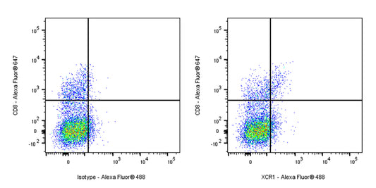Mouse Anti-Mouse XCR1 Antibody (S-R601)