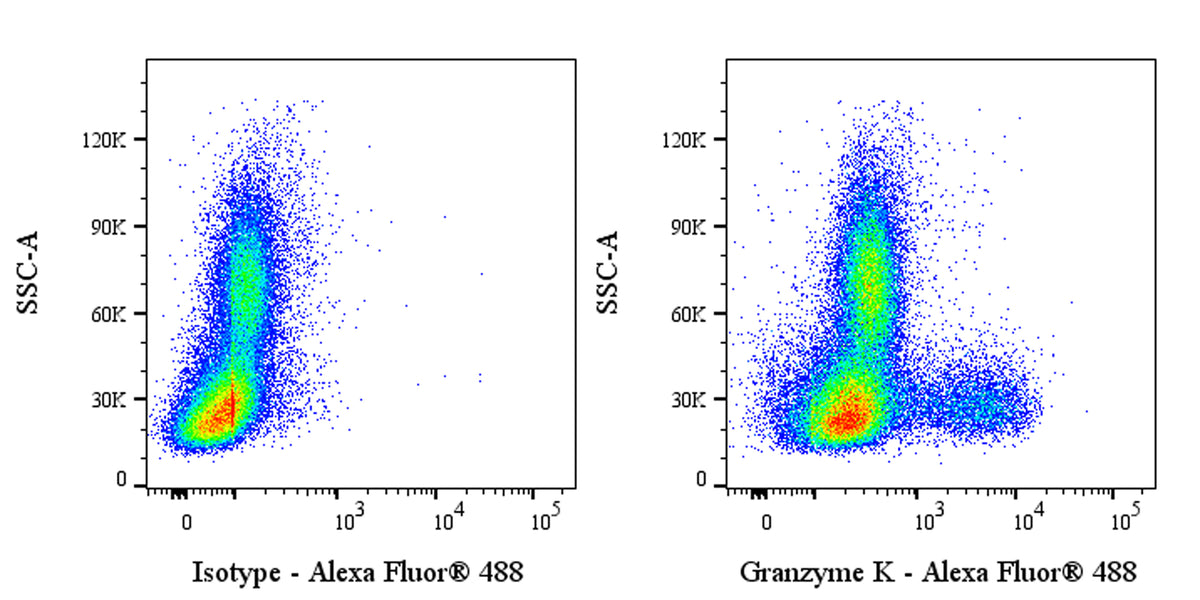 Mouse Anti-Human Granzyme K Antibody (S-2914)
