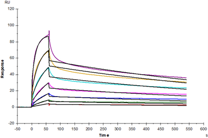 CD7 Ligand/SECTM1 His Tag Protein, Mouse
