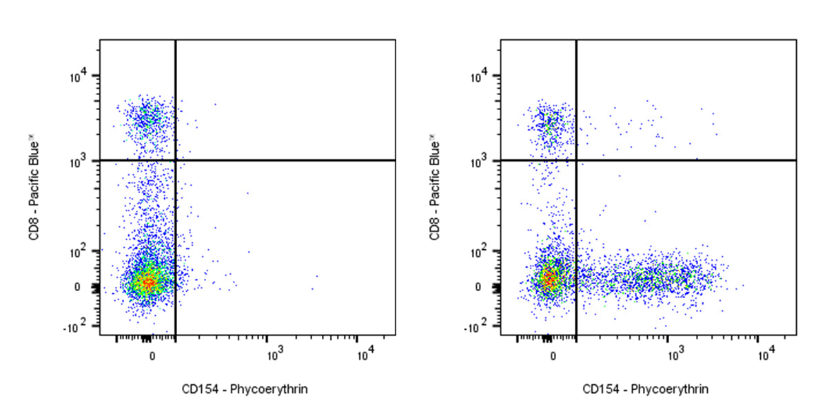 PE Mouse Anti-Human CD154 Antibody (S-R579)
